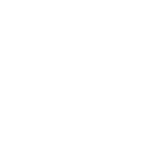 The DEC White Inverse Logo